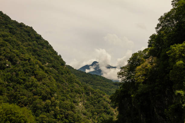 Rolling green mountains covered in dense vegetation rise into misty sky, with distant peaks emerging through drifting clouds, creating a mystical atmosphere. Captured in Taroko National Park, Taiwan, Asia