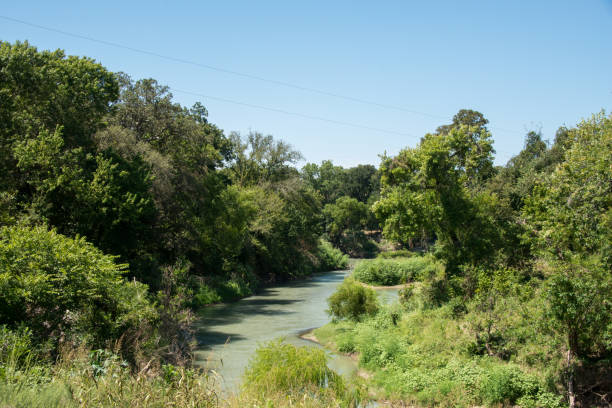 istock Palmetto State Park, near Gonzalez in Texas 2200262614