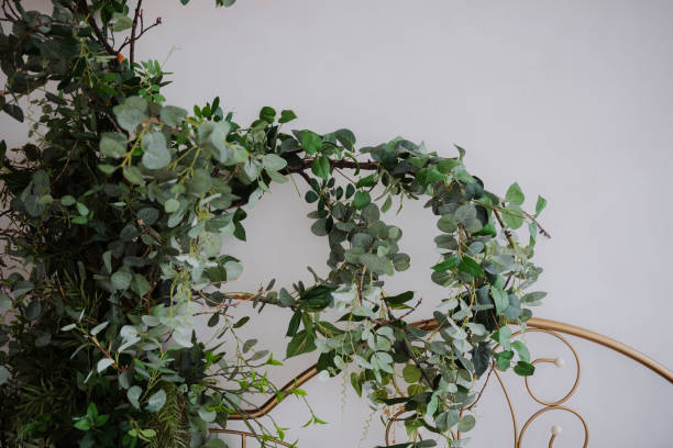 istock Greenery drapes elegantly over a decorative golden backdrop in a bright room 2200270061