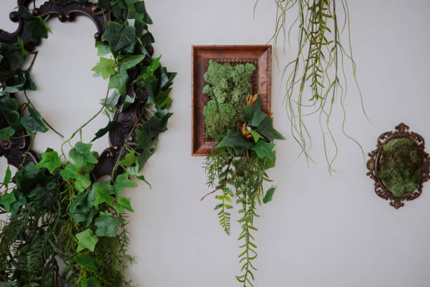Wall adorned with green plants and framed moss art creates a serene atmosphere