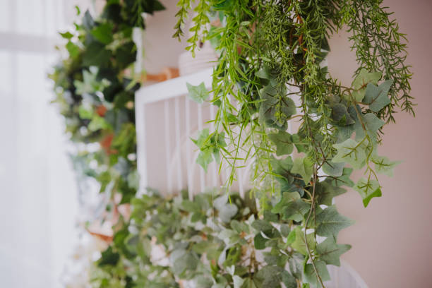 istock Lush indoor greenery enhances tranquility in a sunlit room 2200270077