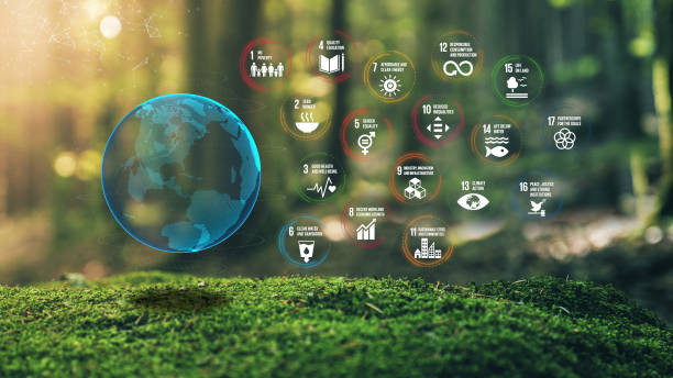 istock 17 Global Goals Concept Earth Plexus Design in Moss Forrest Background SDGs 2200274699