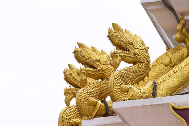 Naga gold yellow head on white sky  background