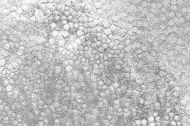 Shiny light monochrome metalic silver grey tone warty elephant leather texture.