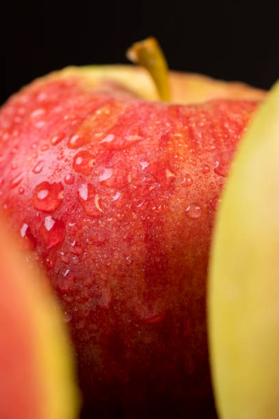 istock fresh crunchy apple with red and green peel 2200307414