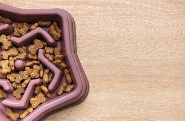istock Slow feeder dog bowl preventing gulping and improving digestion 2200314218