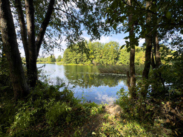 istock A serene lake surrounded by trees with a clear blue sky above 2200314717