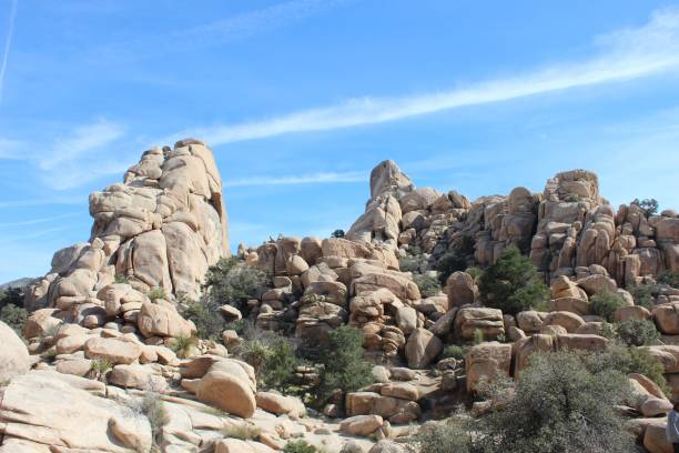 istock Rock formations in Joshua Tree National Park 2200325954