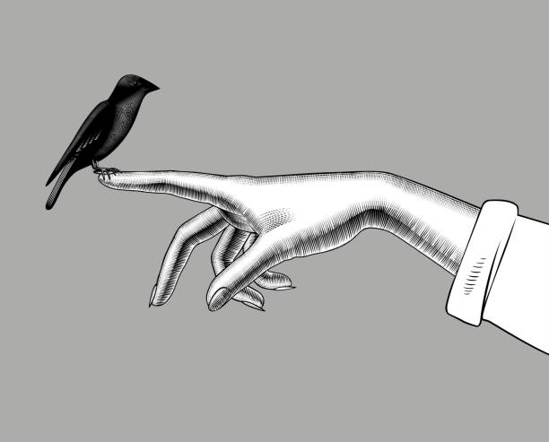 Female hand with a bird sitting on the index finger. Vintage engraving stylized drawing. Vector illustration