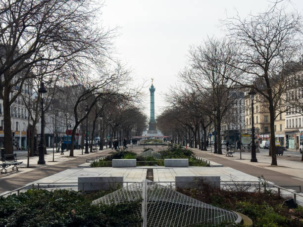 Paris,France-15.02.2025 A tranquil walkway lined with empty trees guides the gaze toward a majestic statue in the distance, enveloped in the soft light of a foggy morning.