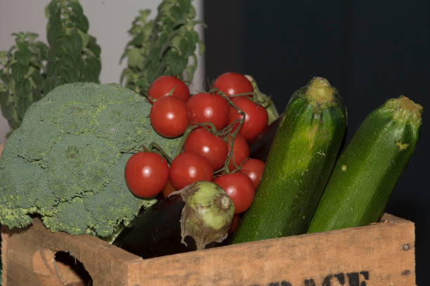 vegetables are plants,food and nutrition for health