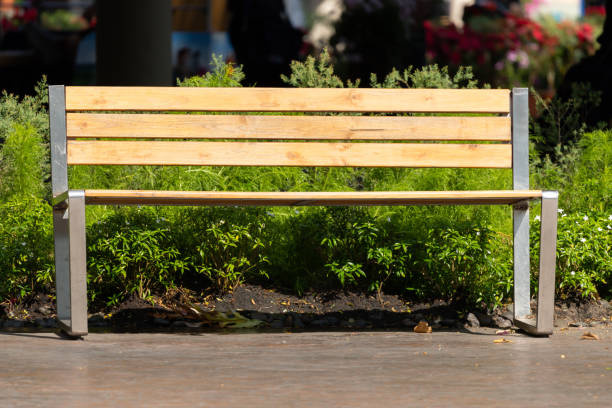 istock A wooden bench sits in front of a bush 2200330174