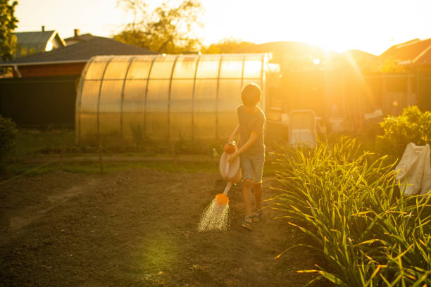 Little boy gardening