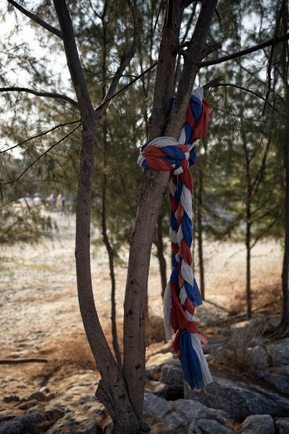 istock Sacred cloth tied to a tree in Thailand 2200332822