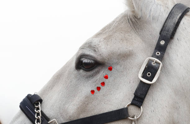 istock st valentine's day horse with hearts 2200334529