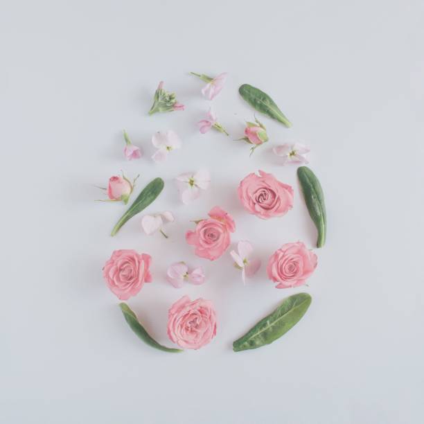 istock Pink roses and green leaves flat lay 2200334957