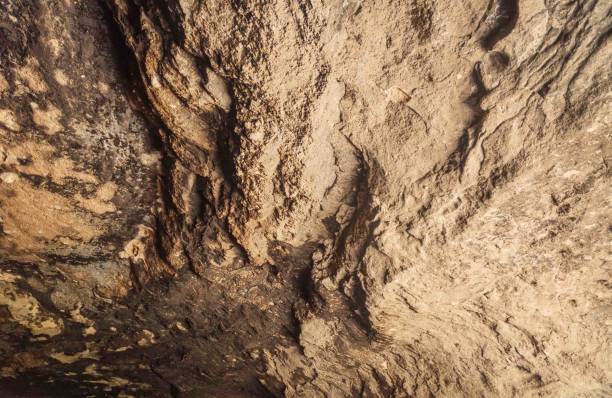 istock Gila Cliff Dwellings in Summer at National Monument 2200335559