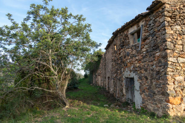istock A stone building with a tree in front of it 2200336375