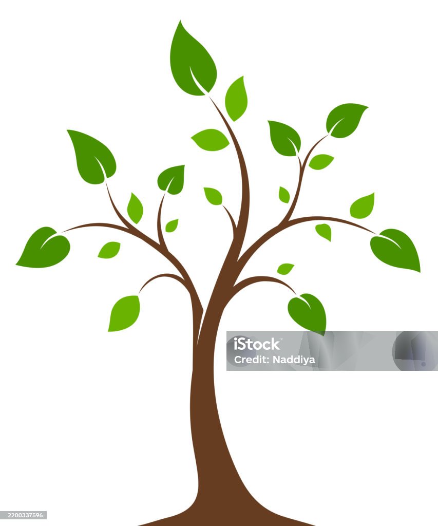 Spring Trees Vector Art Tree With Green Leaves Young Spring Tree Vector Illustration Stock ...
