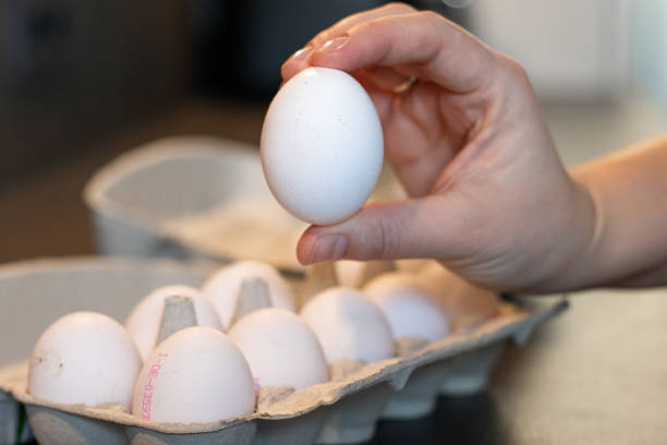 istock Close up of a female hand holding a white egg, blurred background with dozen eggs in cardboard box on grey kitchen table 2200339601