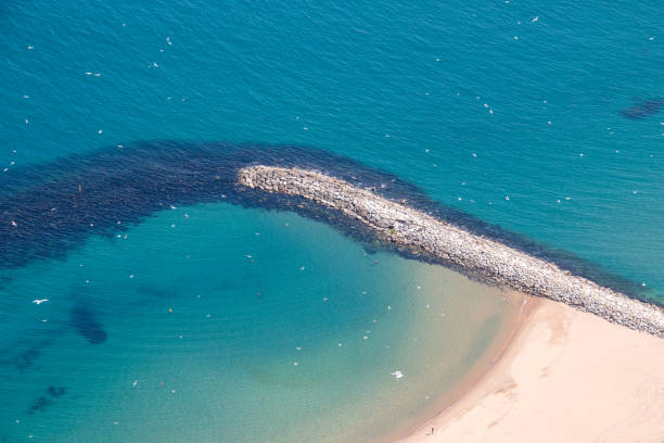 Sandy beach paradise aerial perspective with seagulls over the sea blue background. A rocky stone groyne structure extending from the shore into the sea, protecting beach sand and reefs from the erosional impact of waves and trap shifting sand.