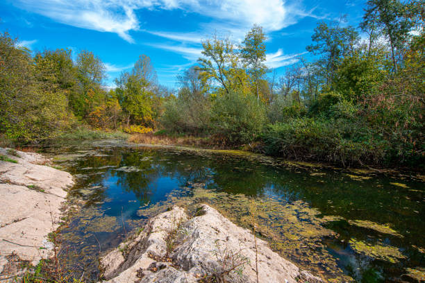 Golden hues of autumn blanket Stara Planina, Serbia. Vibrant foliage contrasts with rugged peaks, creating a tapestry of nature's splendor. River Nisava, Serbia