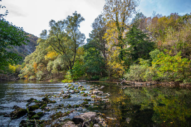 Golden hues of autumn blanket Stara Planina, Serbia. Vibrant foliage contrasts with rugged peaks, creating a tapestry of nature's splendor. River Nisava, Serbia