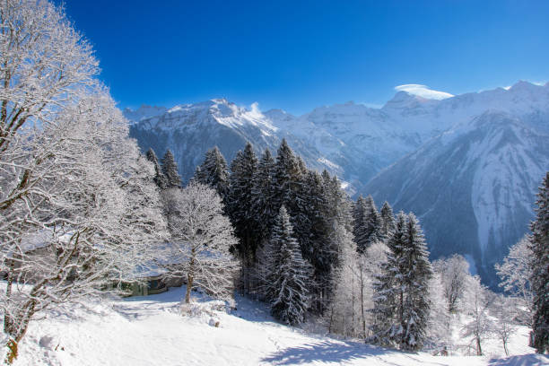 Hiking in winter, snow covered mountains in Braunwald, Switzerland.
