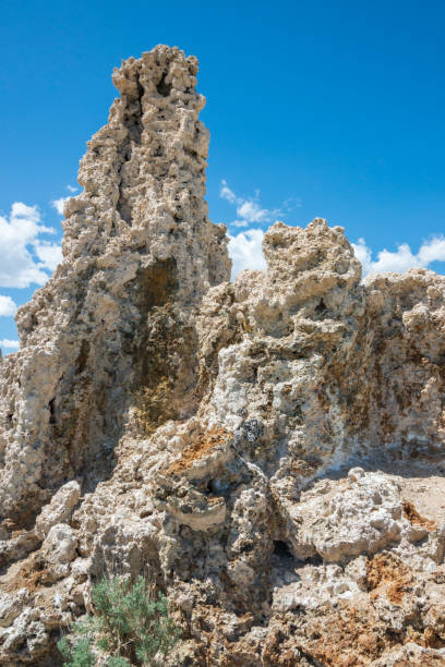istock Formations and Clear Blue Water at Mono Lake 2200344563