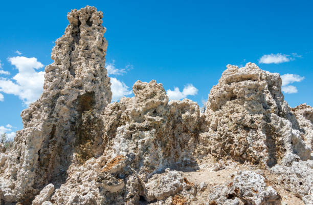 istock Formations and Clear Blue Water at Mono Lake 2200344582