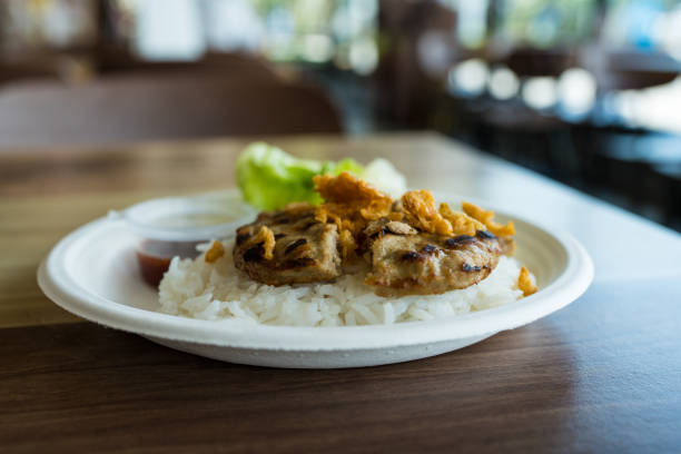 Delicious hamburger steak served on rice in a paper plate