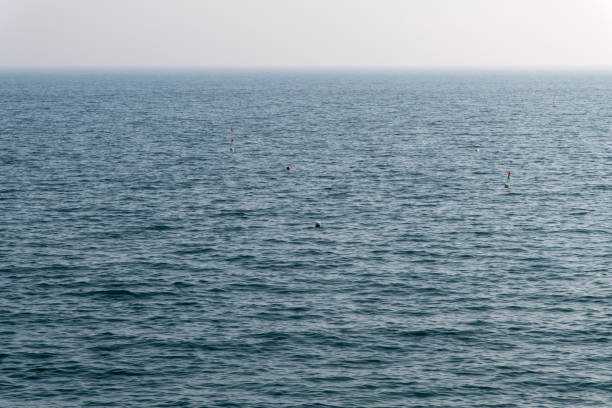 istock calm sea with the horizon 2200346122