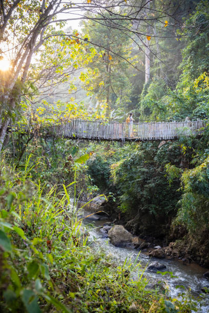 istock Woman with backpack on suspension bridge in rainforest 2200348070