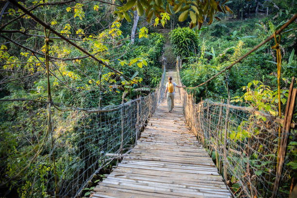 Woman with backpack on suspension bridge in rainforest