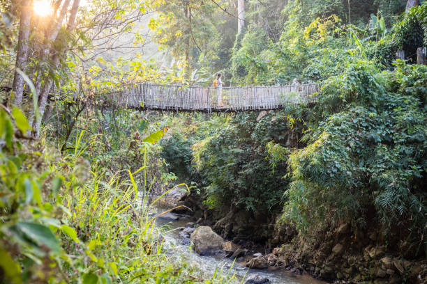istock Woman with backpack on suspension bridge in rainforest 2200348075