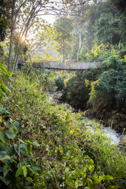 istock Woman with backpack on suspension bridge in rainforest 2200348085