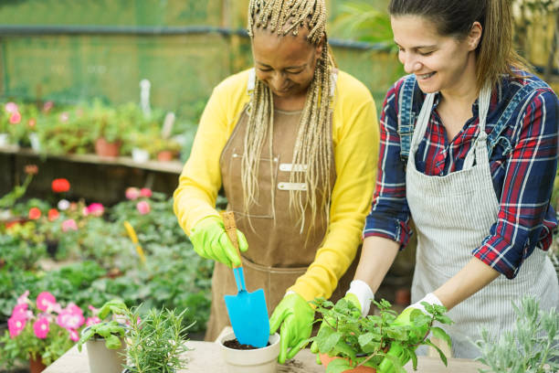 istock Multiracial worker women having fun working inside greenhouse garden - Spring and small business concept - Focus on right female eye 2200363003