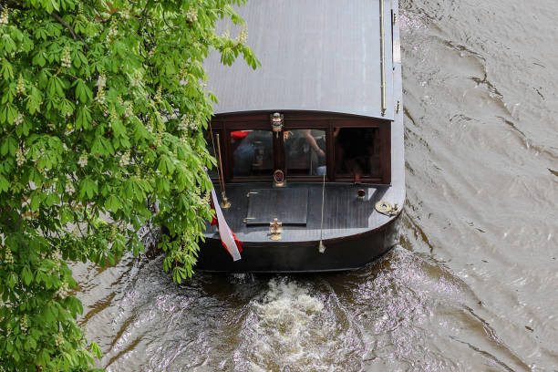 A serene boat gracefully gliding through placid waters, embraced by vibrant, lush greenery all around it