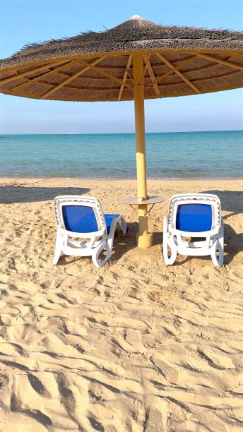 each sunbeds and umbrellas highlight eco focus, blending with serene beach views under glowing sunset, inspiring eco relaxation and promoting mindful living in harmony with radiant sunset hues.