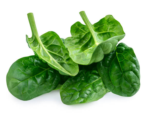 istock Spinach leaves isolated on white background. Baby Spinach leaf Flat lay. Top view.  Espinach leaves as  food salad ingredient. Package design element 2200369152