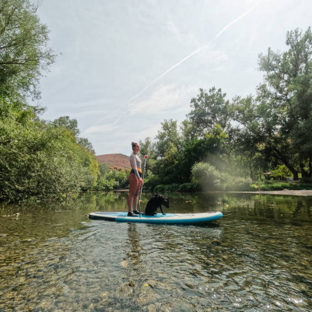 istock Paddleboarding on the river with my dog 2200381860