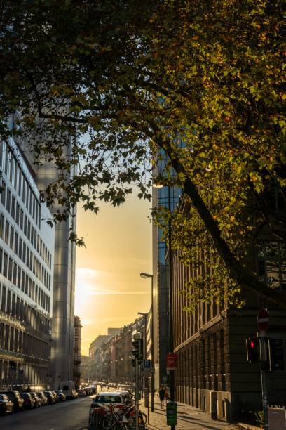 istock Urban street at sunset with modern architecture and autumn trees. 2200384686