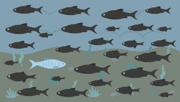 Concept of courage, confidence, success, crowd and creativity. Opposite of the same one unique fish. Concept of courage, confidence, success, crowd and creativity. Opposite of the same one unique fish. EPS 10. upstream stock illustrations