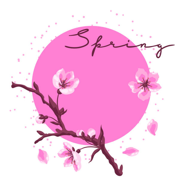istock Background with spring flowers. Apple, sakura or cherry blossom. Beautiful decorative blooming plants. 2200394046