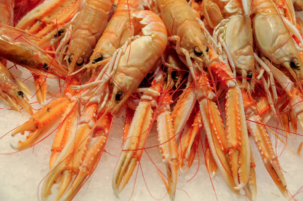 istock Crayfish in the Barcelona market 2200396458