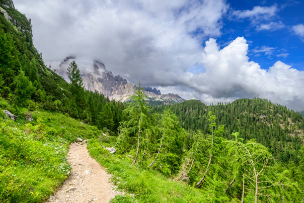 View on the Gruppo del Cristallo with the Monte Cristallo mountain range over Cortina D'Ampezzo in the Italian Dolomites during a springtime day.