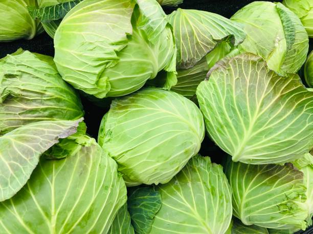 istock Pile of cabbage, green and yellow vegetables, harvest image 2200402379