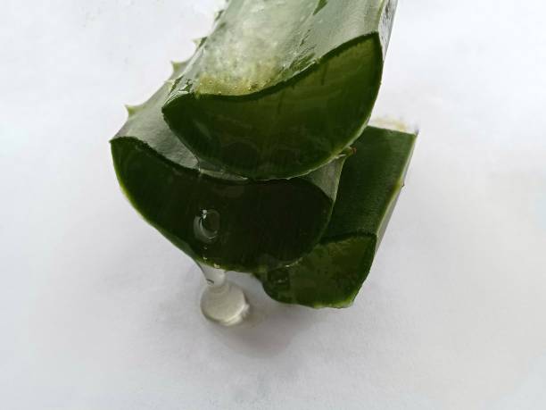 istock Pieces of aloe vera 2200403881