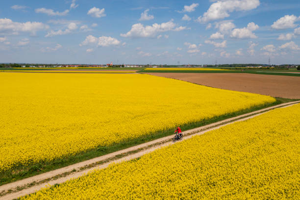 istock Woman riding a bike in spring 2200409458