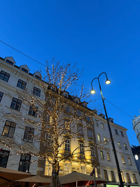 istock Evening glow of a decorated tree in the city 2200412376